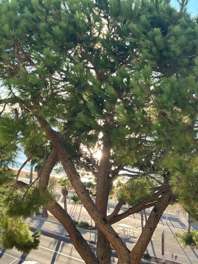 Vacances Paradisiaques, Plage Cannes Boccacabana, Studio Экстерьер фото